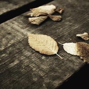 外国美女被绑在床上扒衣吸乳液
